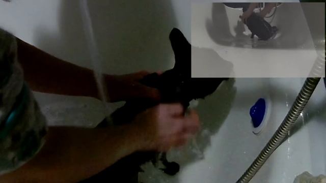 как помыть кота или кошку! главное общаться с ней! смотреть онлайн