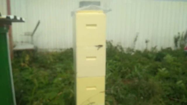 Что выбрать ЭППС или дерево смотреть онлайн