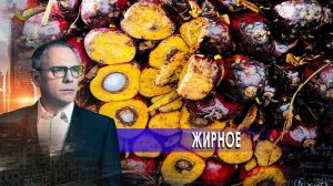 Жирное. Самые шокирующие гипотезы с Игорем Прокопенко (17.11.2020).