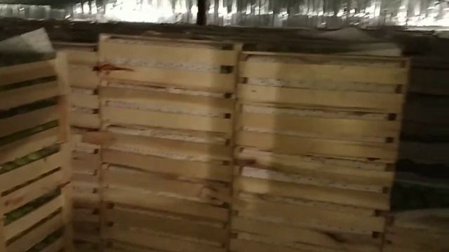 Сохраняем яблоки в холодильнике для зимы смотреть онлайн