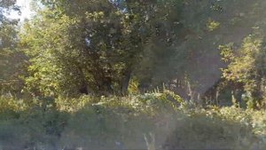 СЕЛО БЕЛОГОРСК.УЛЬЯНОВСКАЯ ОБЛАСТЬ.ТЕРЕНГУЛЬСКИЙ РАЙОН.