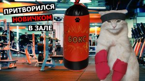 Мастер Спорта притворился новичком Пародия котенка