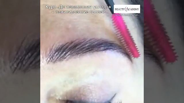 Обучение ламинированию и долговременной укладке бровей смотреть онлайн