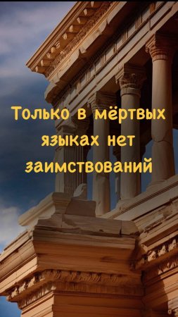 только в мёртвых языках нет заимствований