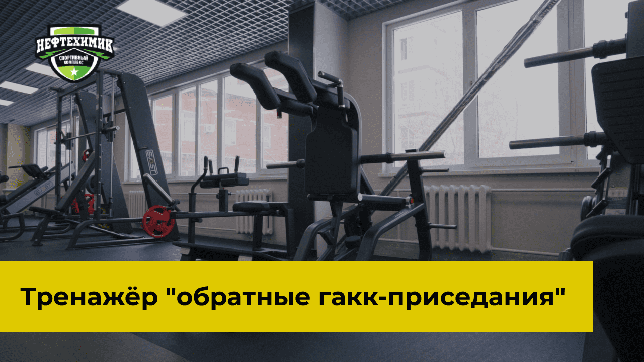 Техника выполнения в тренажере "Обратные гакк-приседания" с Альвиной Кравцовой