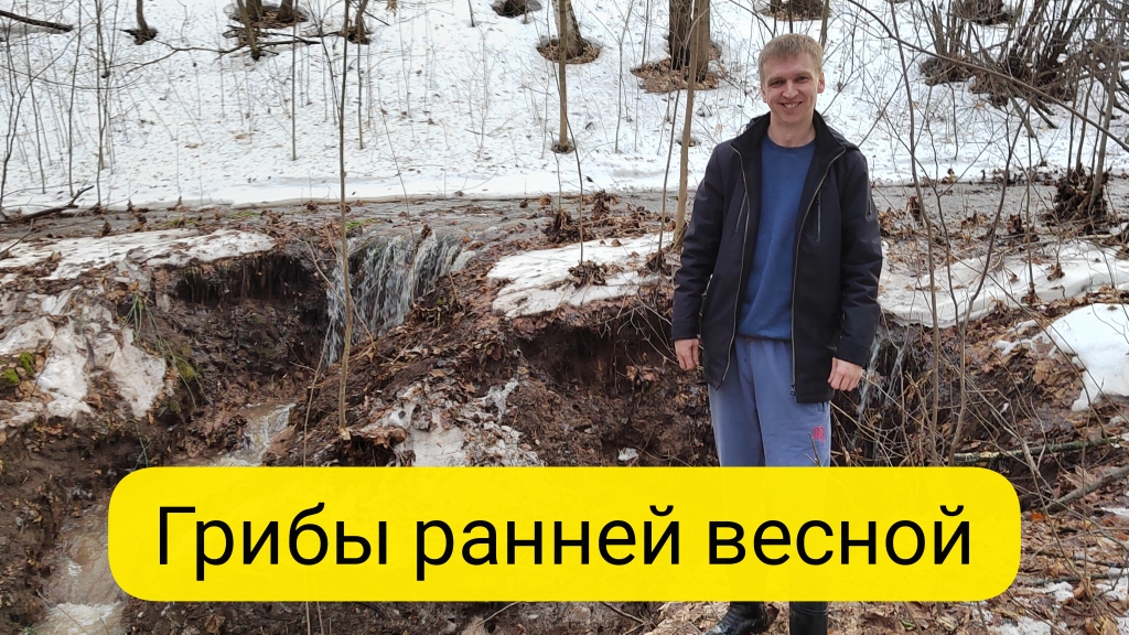 Первый весенний поход в лес за грибами смотреть онлайн