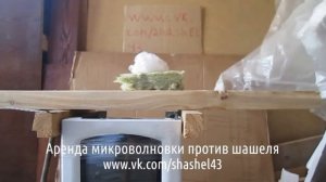 древоточец как избавиться в доме Киров