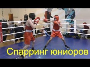 Бокс: спарринг юниоров/Boxing: juniors spar southpaw vs orthodox