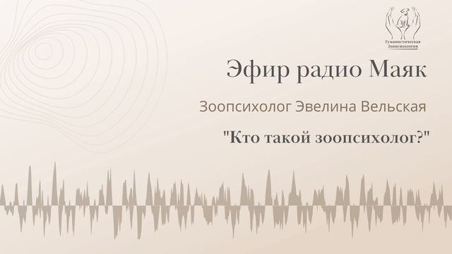 Кто такой зоопсихолог? Эфир радио Маяк смотреть онлайн
