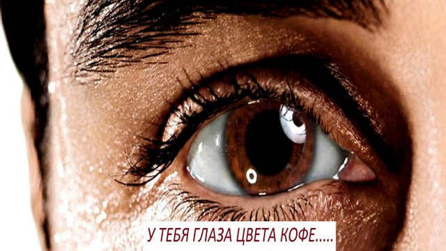 печальные глаза. шикарные глаза но ты плохо. глаза говорят. густые женские брови. фразы про карие глаза.