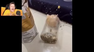 Тест на шизу