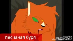 Коты воители белка и бич-ты знаешь кто мой папа