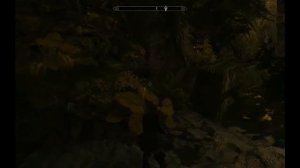 Skyrim Velaya LP212 Moonpath to Elsweyr Estuary   die Flußmündung