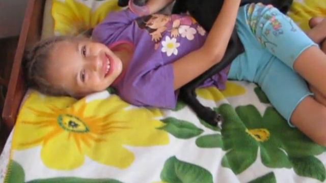 Wippet happy смотреть онлайн