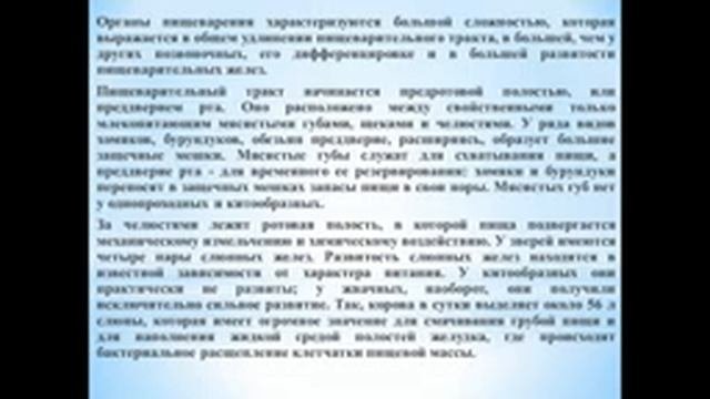 Животные (Часть 91) -  Класс Млекопитающие (+18)
