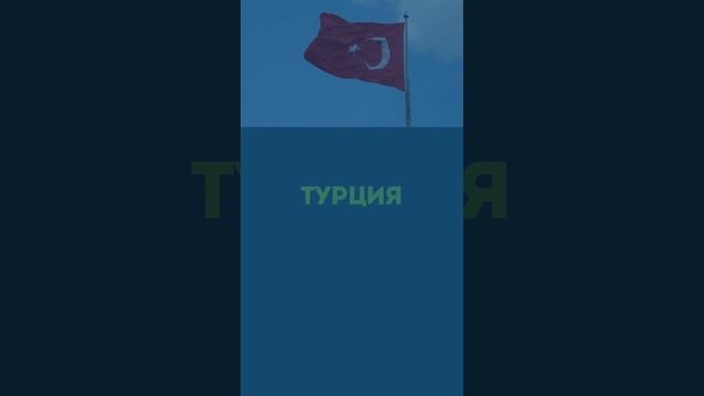 Музыкальный квиз. На сколько хорошо вы знаете музыку. Эрудиция. Музыкальная викторина