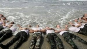 ВМС США, морские котики...