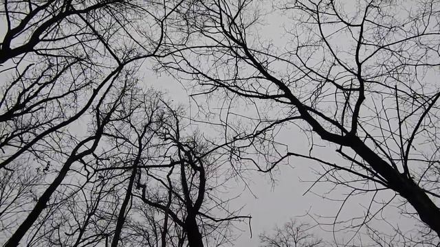 Каменка 2021 смотреть онлайн