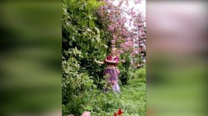 !The Magic of the Spring