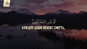 Сура  Аль Анкабут Паук  •  Чтец  Шериф Мустафа