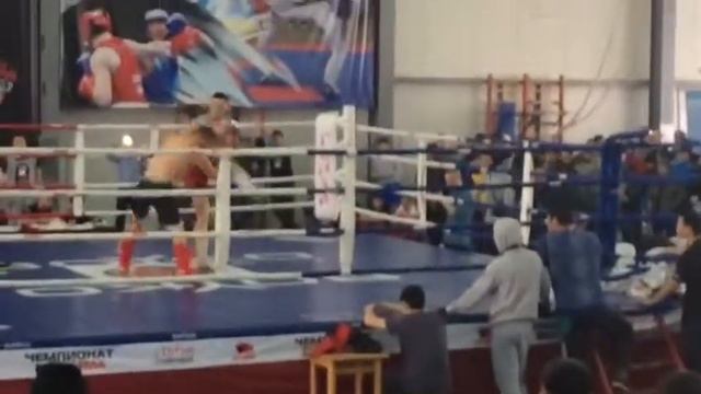 ММа семей 2017