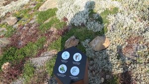 Парк Зарядье I Прогулка с детьми