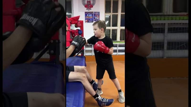 Работа на лапах начинающий боксёр 5 лет         #boxing #shorts