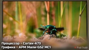 Самый большой телевизор Xiaomi Redmi max 100 дюймов