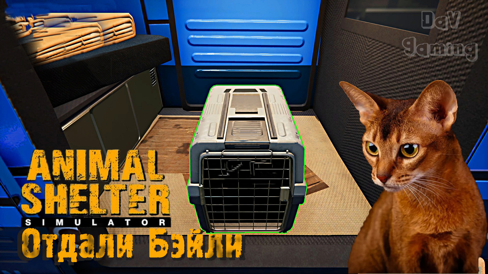Втюхала кота абьюзера / Animal shelter #3