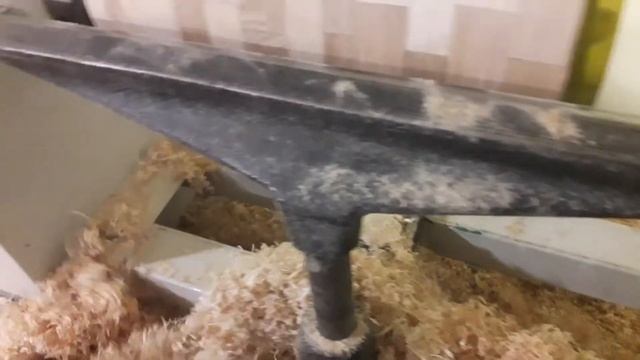 Робочий пивной бокал! смотреть онлайн