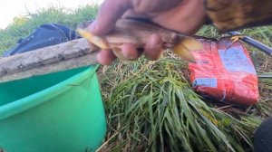 Рыбалка на карася на поплавок. Хлеб с чесноком #рыбалка #карась #хлебсчесноком