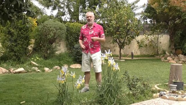 Поздравляем с Днём Рожденья и Многая Лета!!! смотреть онлайн