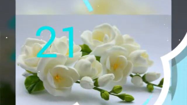 Видео про цветы. Напишите в коментарие 2 числа которые как вы думаете я загадала смотреть онлайн