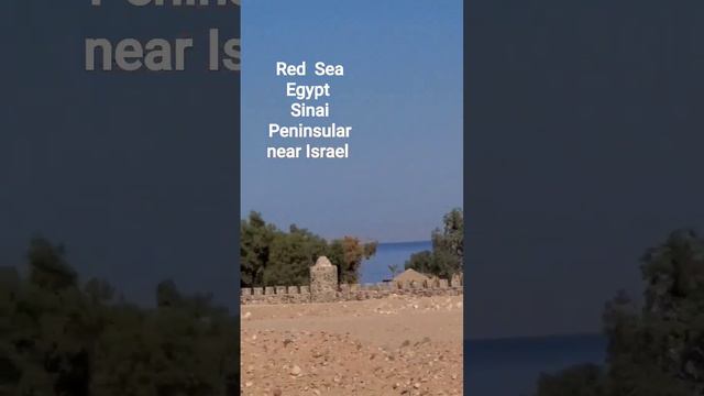 Red Sea #egypt #beachresort Sinai peninsular