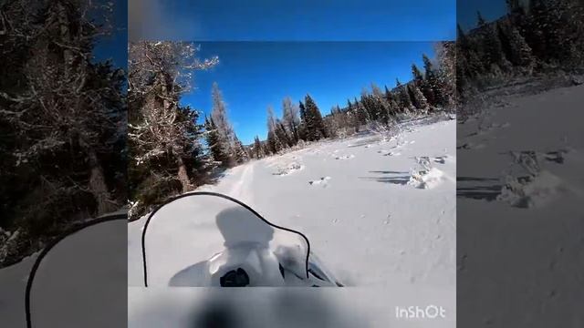 Снегоход тайга патруль смотреть онлайн