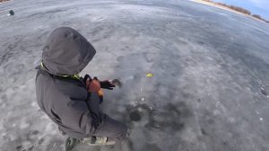 Как поймать пассивного судака. Пассивный судак??! не беда выход есть..