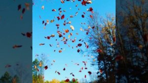 исполнение оркестра Поля Мориа (последний вальс)