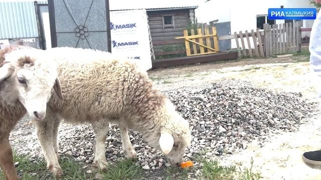 Сотрудники Министерства ЖКХ и энергетики организовали досуг для детей из социального приюта