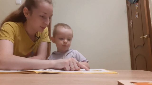 Занятие по развитию речи с ребенком ( 2 года 8 месяцев). Фрагмент ?