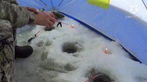 Красногвардейское озеро за .... нет на рыбалку ))) 10.01.2021