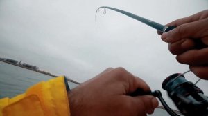 Зимний спининг ... 26 декабря ...Graphiteleader Nuovo Calamaretti Prototype GNCPRS-8102MH