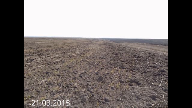 Озимая пшеница, Бирюза (история одного поля) смотреть онлайн