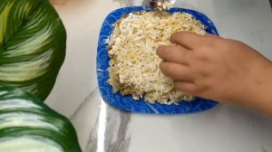 ПРАЗДНИЧНЫЙ  СЛОЕНЫЙ САЛАТ С ГРИБАМИ, КУРИЦЕЙ И КАРТОФЕЛЕМ– просто пальчики оближешь