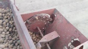 Посадка картофеля 2х рядной сажалкой