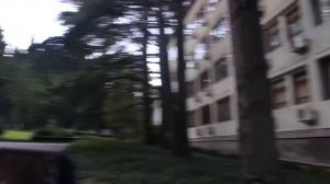 Крым, Партенит, санаторий "Айвазовское", красивый парк