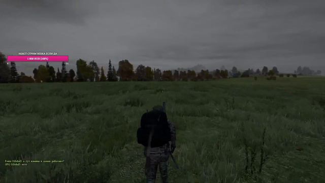 Играем в бесплатный DayZ Dead-Zone