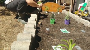 #gardening #herbplanting Soothing Herb Bed Planting