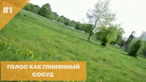 Бобтейл - Интересные факты о собаке