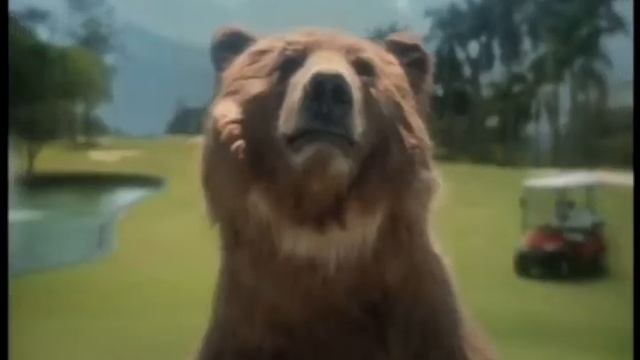 Old Spice oso смотреть онлайн
