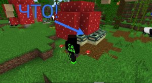 Проверка мифов в Майнкрафте. Sashaplay.